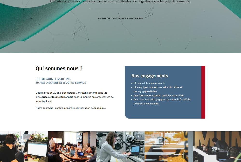 Boomerang Consulting